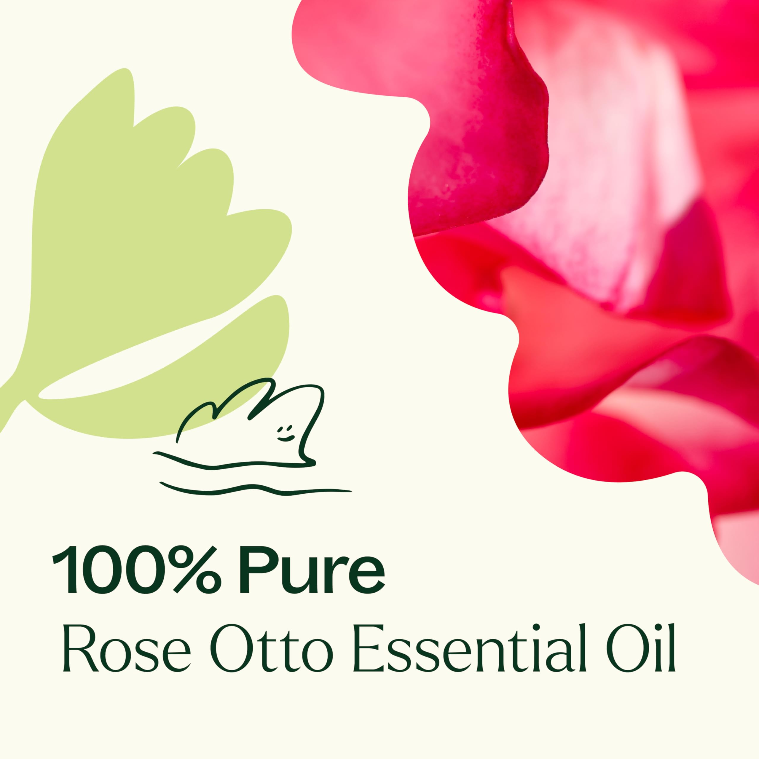 Plant Therapy Rose Otto Essential Oil 5 mL (1/6 oz) - 100% Pure, Undiluted, Therapeutic Grade for Aromatherapy, Massage & Skin Care | Natural Stress Relief & Emotional Balance