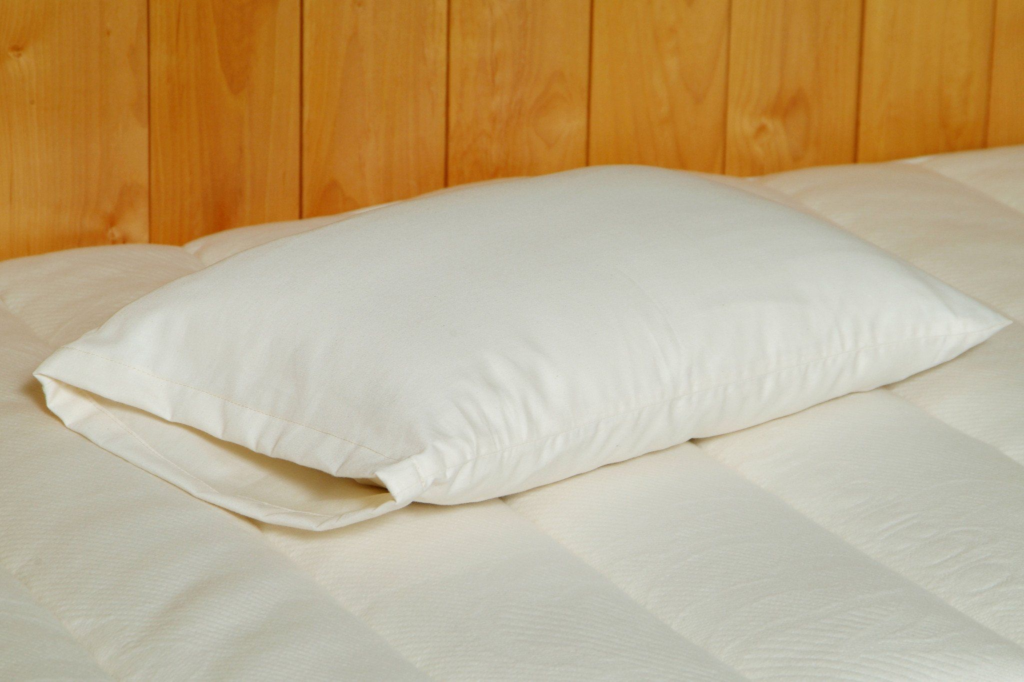 Comfortable Travel & Snuggle Pillow - Soft Support for Airplane, Car & Home Use - On Sale Now