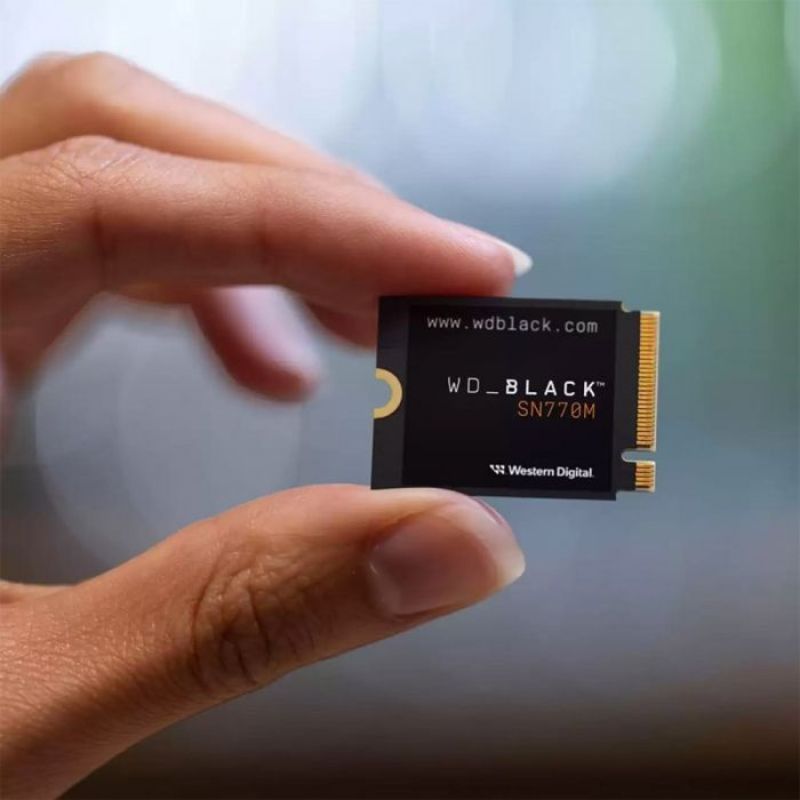 WD SN770M 1TB Internal SSD - M.2 Gen4 PCIe 4.0 NVMe Gaming SSD - High Speed Solid State Drive for PC/Laptop Upgrade - Black | Perfect for Gaming, Video Editing & Fast Boot Times