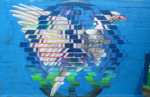 Peace And Dove