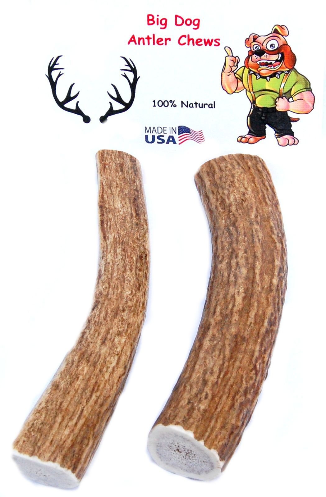Premium Extra Large 2-Pack Elk Antler Dog Chews (6-10 Inches) - Natural Long-Lasting Dental Treats for Medium & Large Breed Dogs & Puppies - Perfect for Aggressive Chewers, Teething Relief & Dental Health