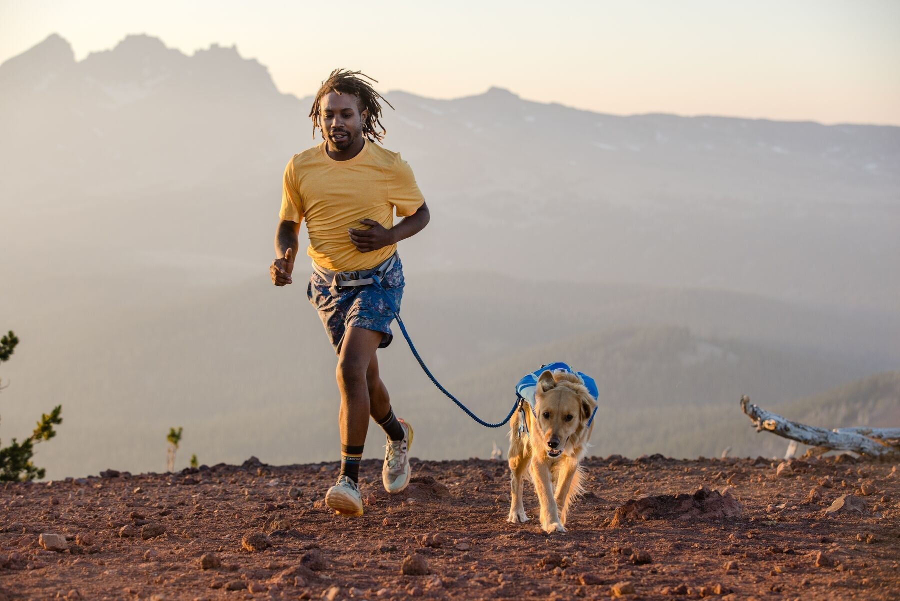 Ruffwear Dog Running Vest - Reflective Trail Runner Harness for Dogs in High-Visibility Lichen Green - Perfect for Hiking, Jogging & Outdoor Adventures