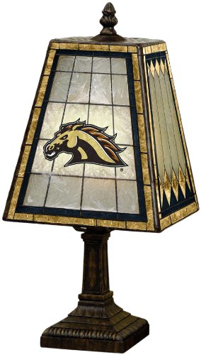 Western Michigan 14