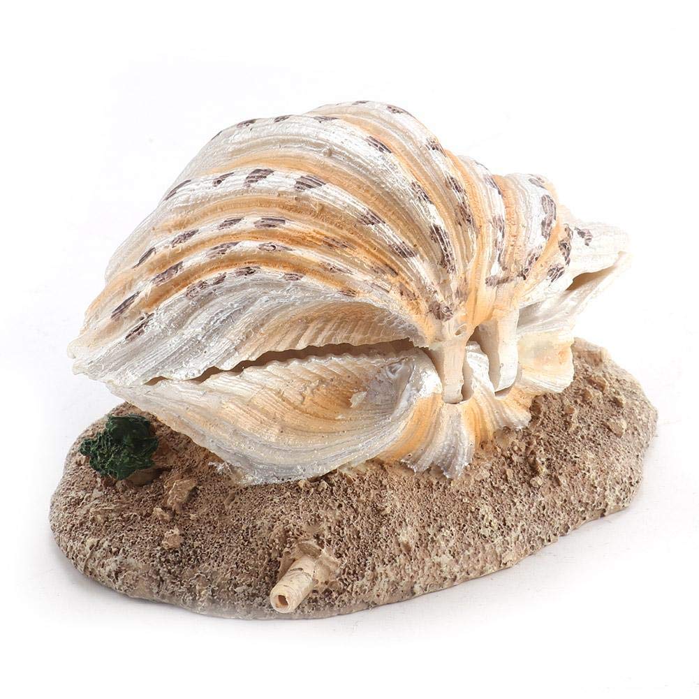 Natural Aquarium Shell Bubble Decor - Coral Reef Ornament for Fish Tank with Aerating Action | Perfect for Saltwater & Freshwater Tanks, Betta Fish Habitat, and Underwater Theme Decorations