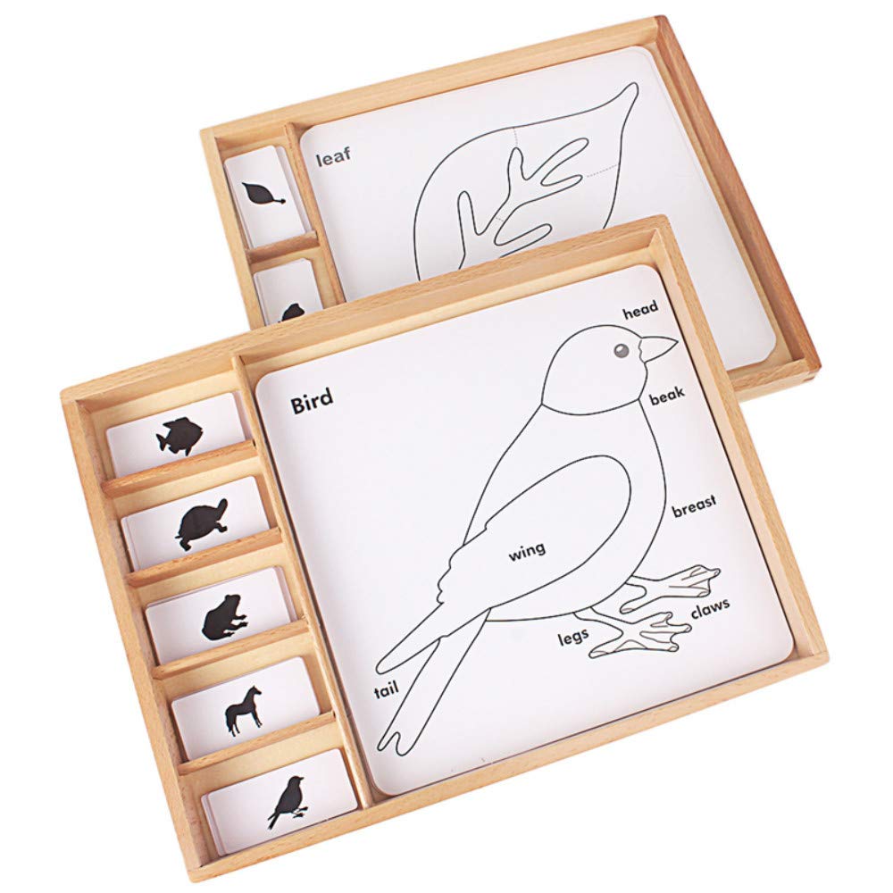 Montessori Botany Puzzles for Kids - Science Learning Toys with Animal & Plant Cards, PVC Wood Box - Educational English Games for Children | Perfect for Homeschooling & Classroom STEM Activities