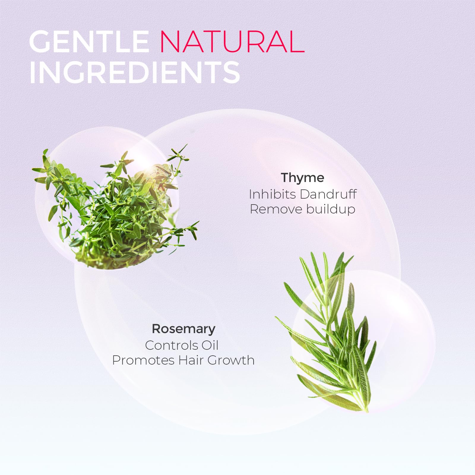 TYMO Natural Formula Shampoo Powder for Clarifying & Dandruff Control - Gentle Hair Cleanser for Dry Scalp & Oily Hair | Perfect for Travel, Gym & Daily Use