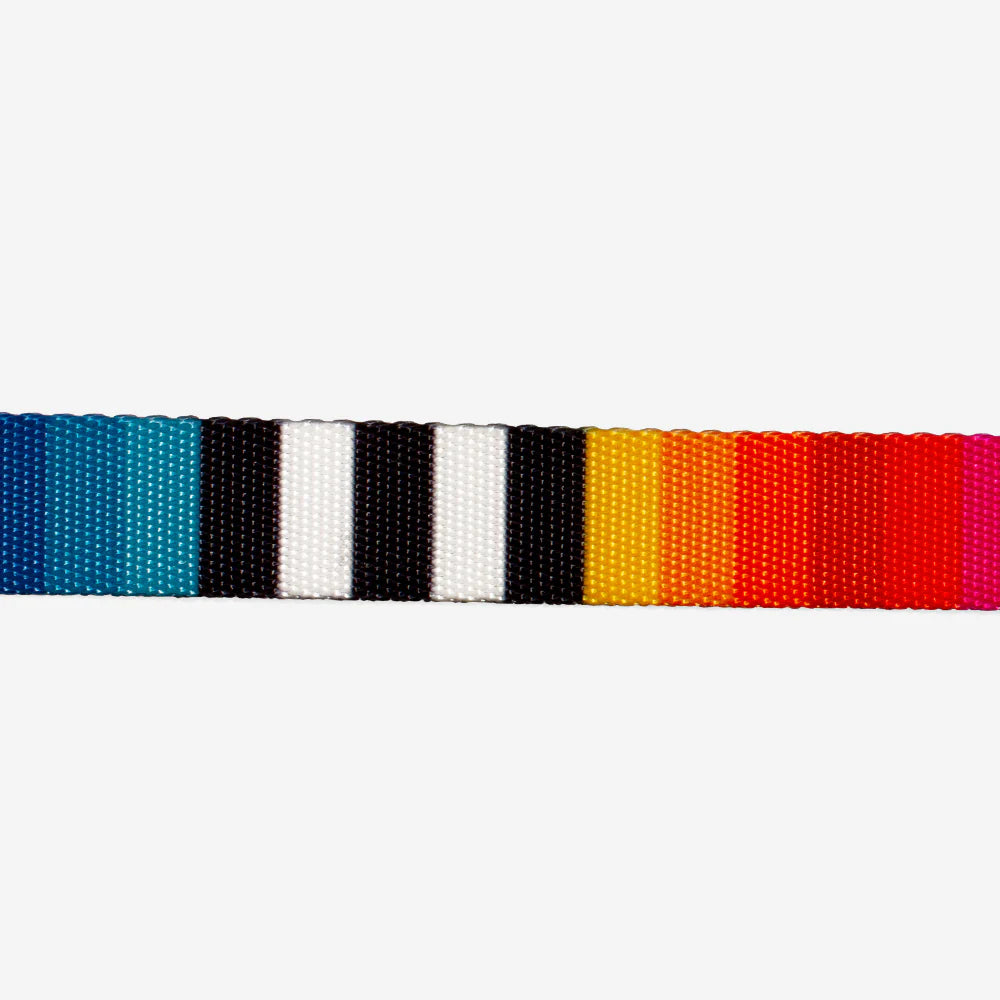 Zee.Dog Prisma Reflective Dog Collar - Adjustable & Durable Pet Collar for Small, Medium & Large Dogs - Perfect for Night Walks, Training & Outdoor Adventures