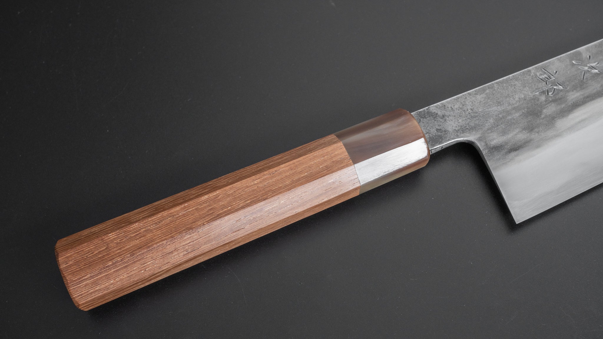 Premium Jiro Tsuchime Wa Gyuto 240mm Japanese Chef Knife with Taihei Tagayasan Handle (#217) - Perfect for Sushi, Meat Slicing & Professional Kitchen Use