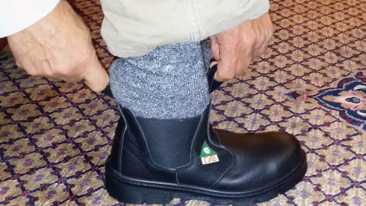 Dolphin D10 CSA Approved Safety Shoes - Steel Toe Work Boots for Construction, Welding & Industrial Use | Slip Resistant & Comfortable for Heavy Duty Jobs