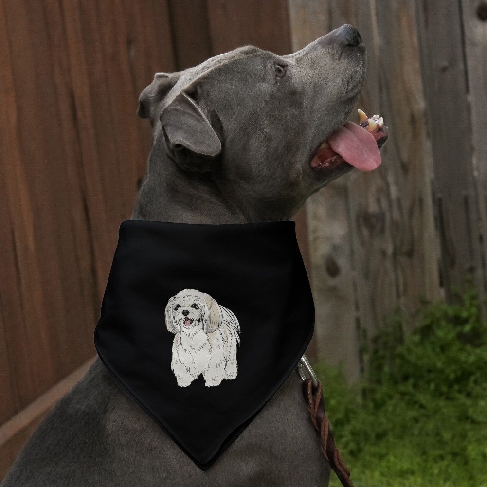 Shih Tzu Dog Bandana - Black for Pets & Outings