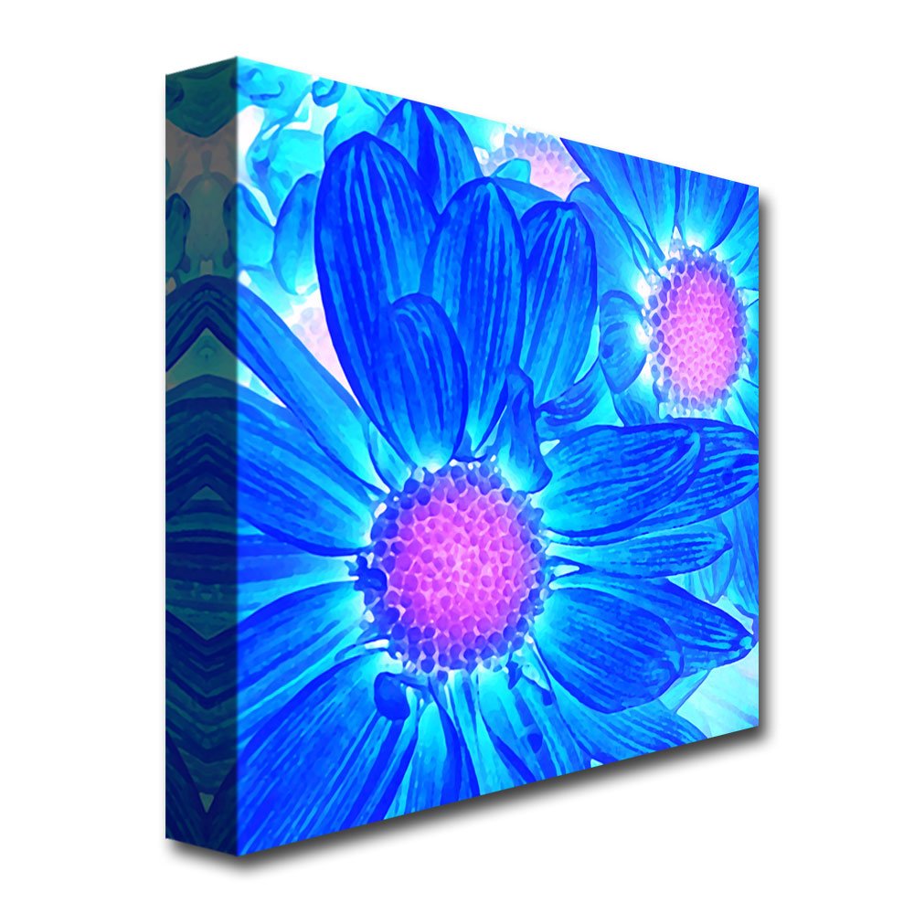 Trademark Art Pop Daisies VI Canvas Wall Art by Amy Vangsgard - 18x18 Inch Floral Home Decor for Living Room, Bedroom & Office