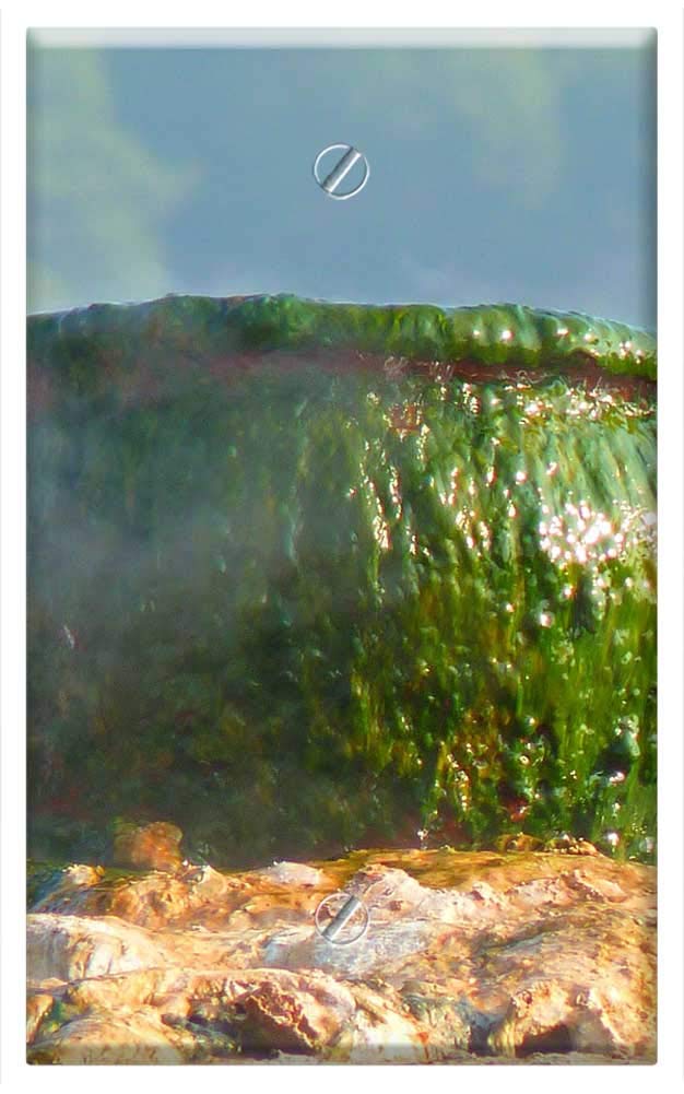 Single-Gang Blank Wall Plate Cover - Green Cauldron Design for Kitchen & Halloween Decor | Perfect for Home Renovation & Themed Parties