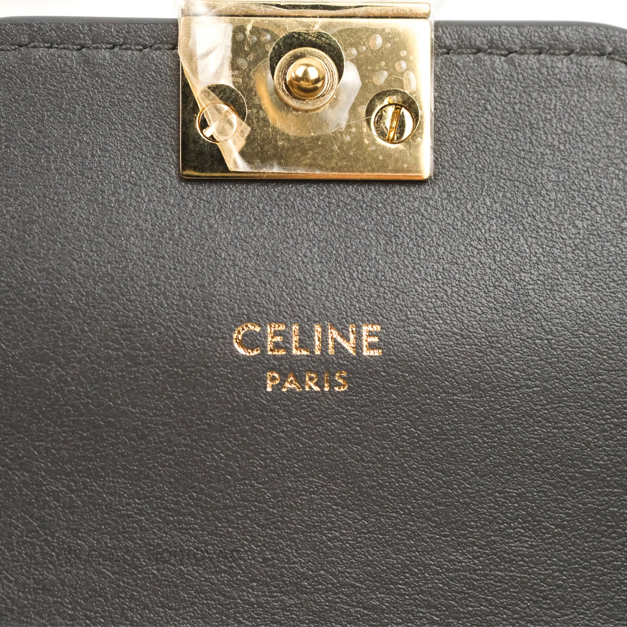 Celine Wallet On Chain WOC Grey Smooth Calfskin Leather Crossbody Bag - Perfect for Everyday Use, Parties & Travel