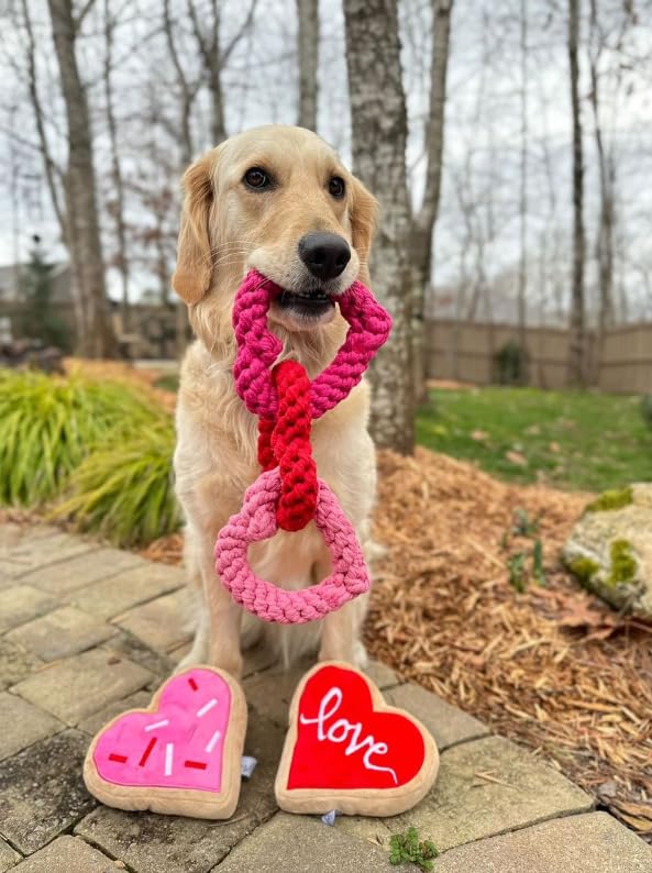 Midlee Interlocking Heart Rope Valentine Dog Toy - 6 Inch Pink & Red Small Tug Toy for Puppies - Perfect for Valentine's Day Playtime, Training, and Bonding with Your Pet