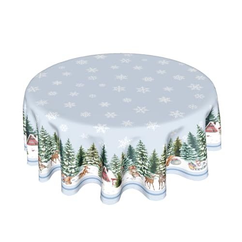 Winter Snowflake