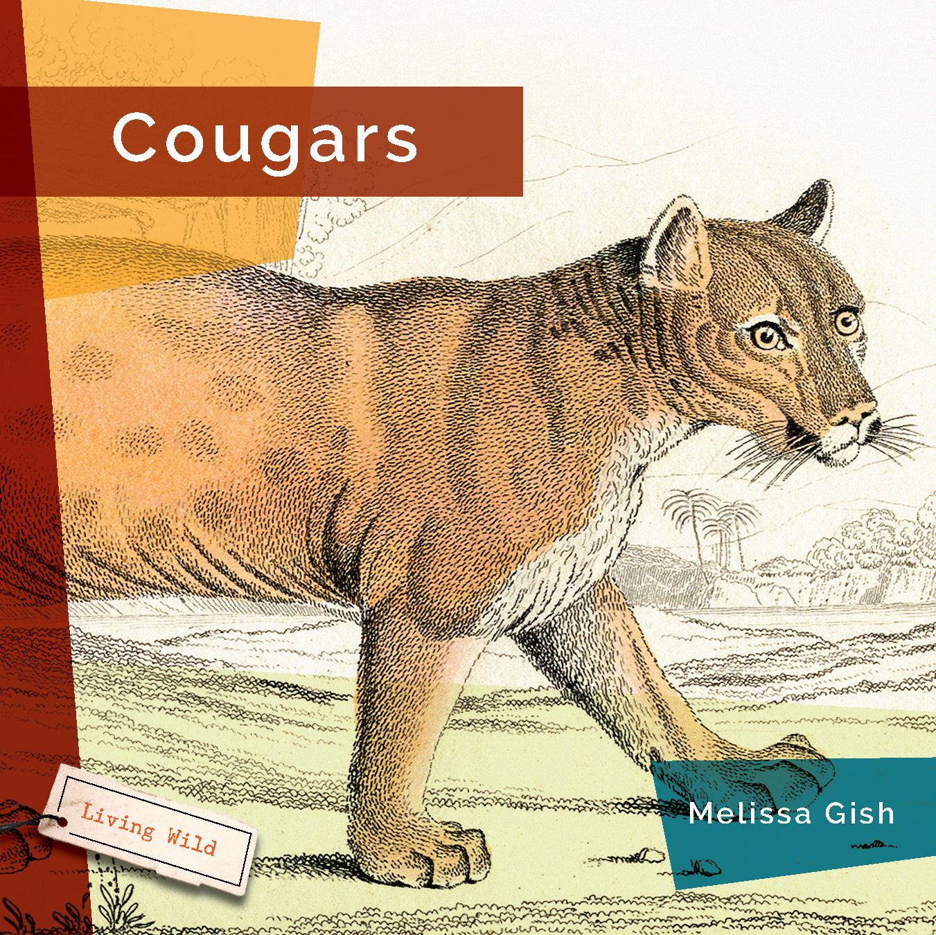 Cougars Book 9781640265981 - Wildlife Nature Guide for Outdoor Enthusiasts & Animal Lovers