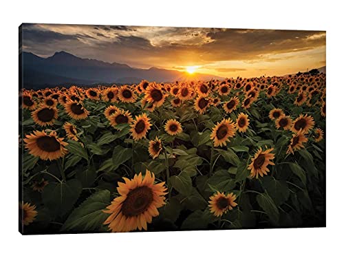 Sunflower Artwork-01