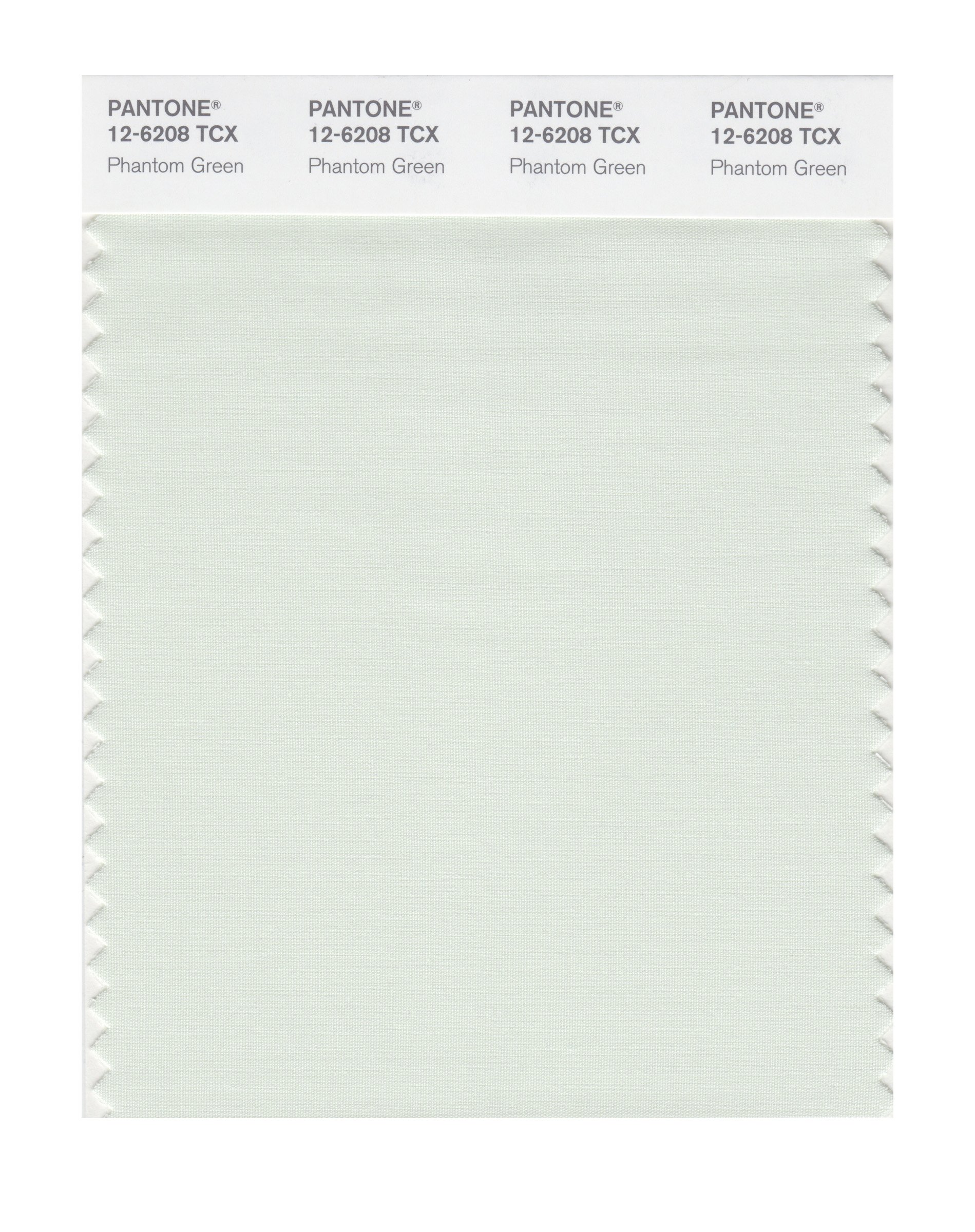 PANTONE Smart 12-6208X Phantom Green Color Swatch Card | Professional Color Matching Tool for Graphic Design, Printing & Branding | Perfect for Designers, Artists and Print Professionals