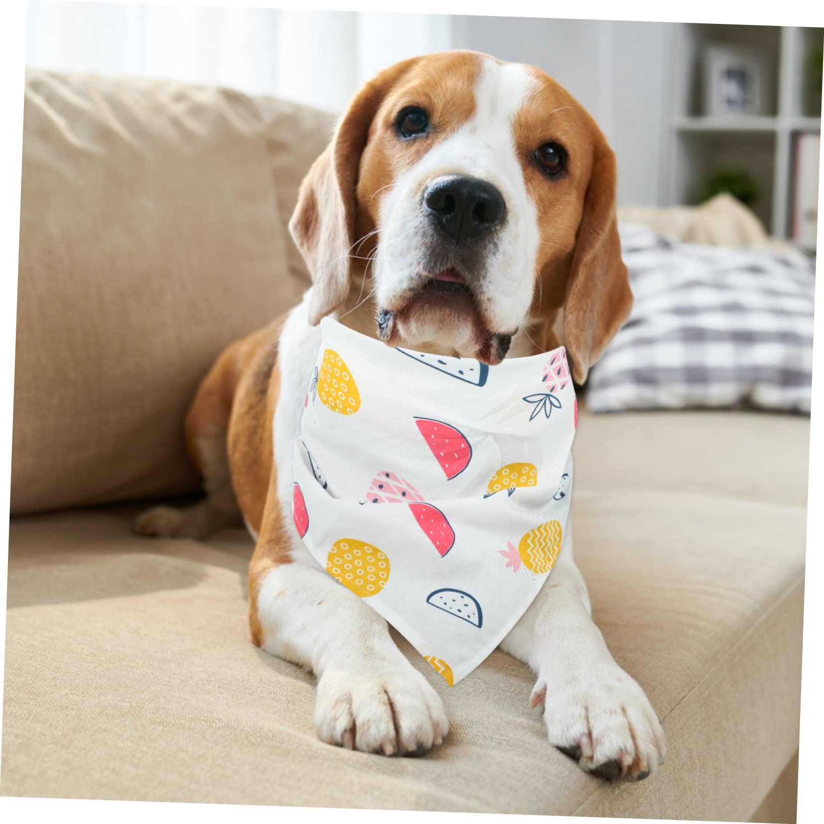 Kisangel Dog Bandana - Triangle Pet Bandana for Small & Large Dogs, Adjustable Dog Scarf for Parties, Holidays & Daily Wear - Cute Dog Outfit Accessory for Christmas, Halloween & Outdoor Adventures