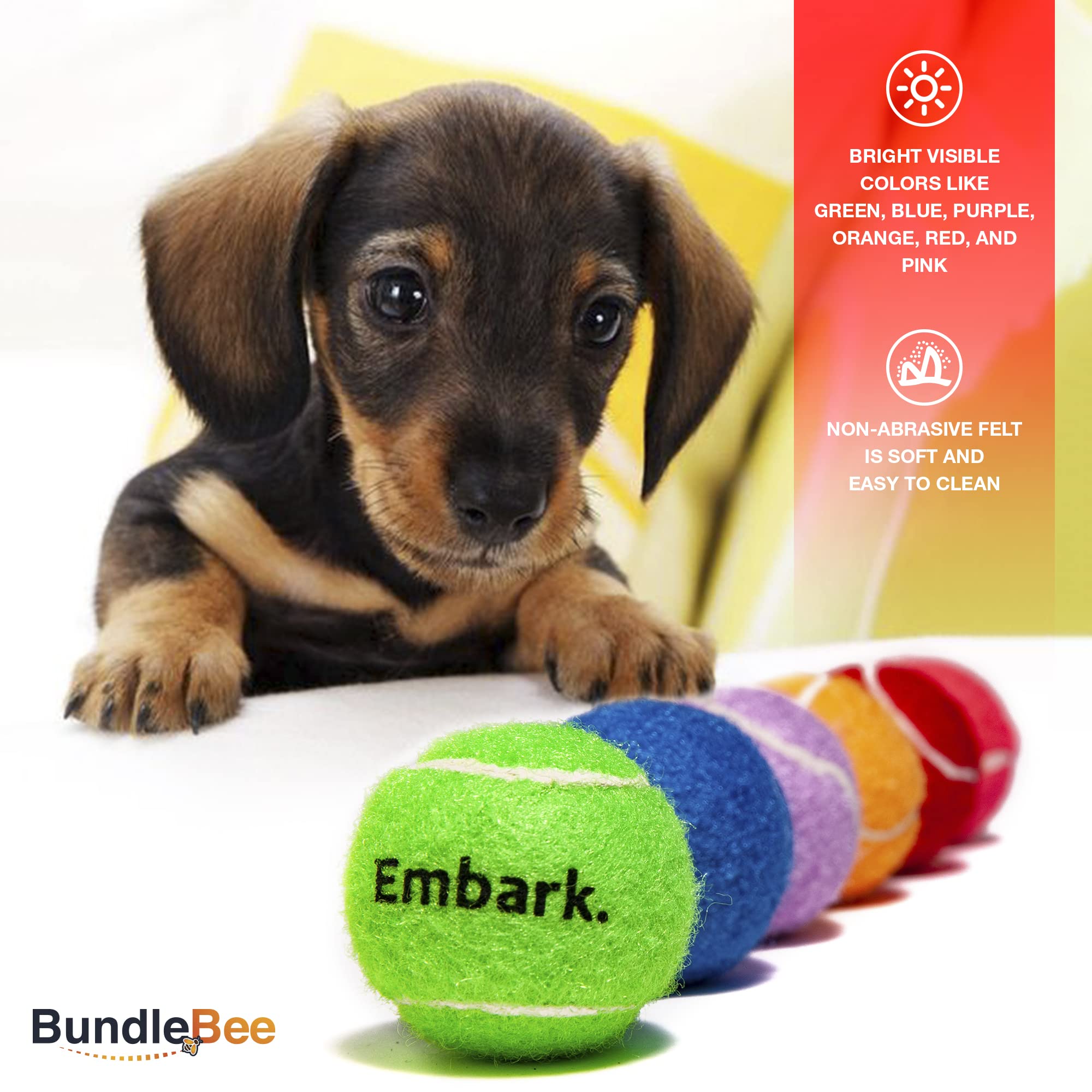 Colorful Squeaky Tennis Balls for Small Dogs - 12 Pack - Perfect for Outdoor Fetch & Training