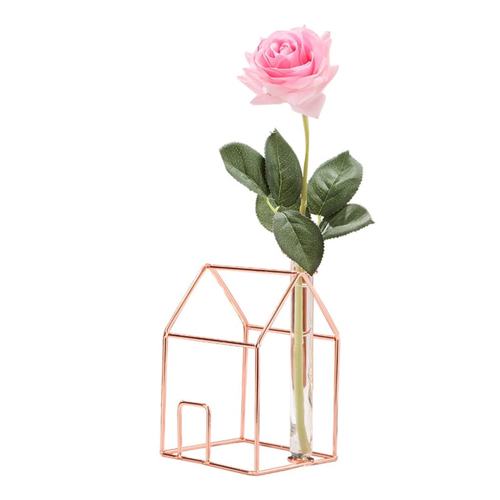CUNCOO Clear Glass Vase with Wrought Iron House Frame - Modern Minimalist Planter for Hydroponics, Home Decor, Wedding Centerpiece (4.13 x 3.74 x 6.10 Inches) - Perfect for Living Room, Office Desk, and Floral Arrangements
