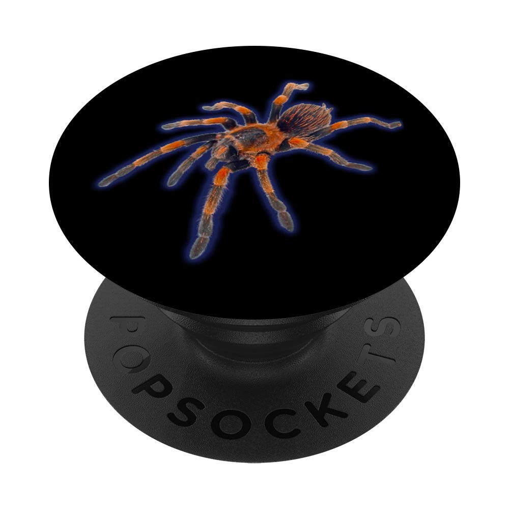 Mexican Fireleg Tarantula PopSockets Phone Grip & Stand - Durable Phone Accessory for iPhone, Samsung, Tablets - Perfect for Gaming, Selfies, and Everyday Use