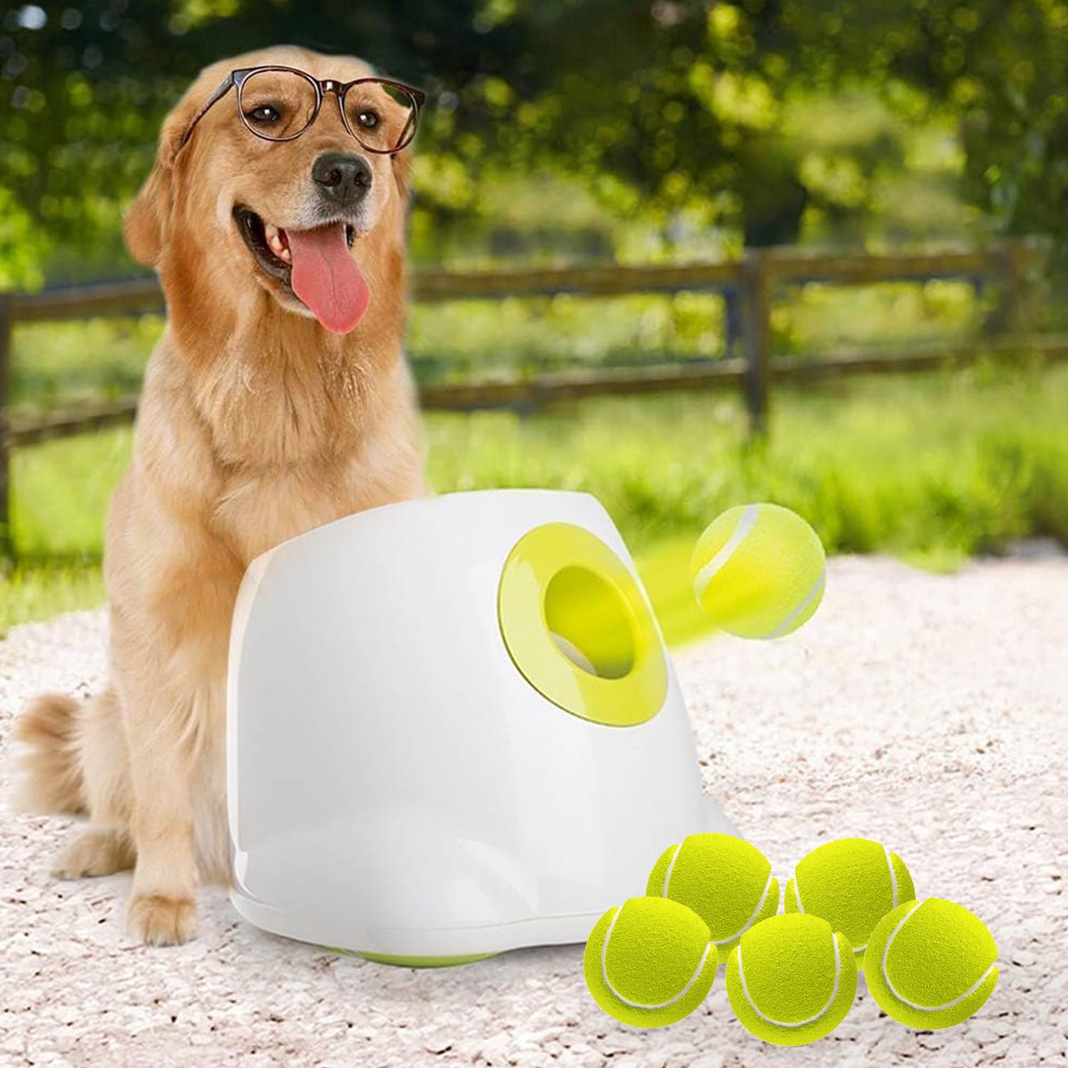 ALL FOR PAWS Automatic Dog Ball Launcher for Medium to Large Dogs - Interactive Tennis Ball Thrower with Rechargeable Battery, Mental Stimulation Toy for Active Dogs - Perfect for Backyard Play, Training & Exercise