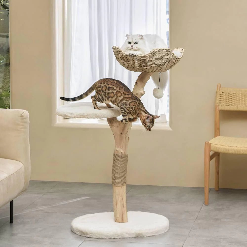 Premium Real Wood Cat Tree for Indoor Cats - Medium Size, Sturdy & Durable with Scratching Posts - Perfect for Play, Climbing & Relaxing in Home or Office
