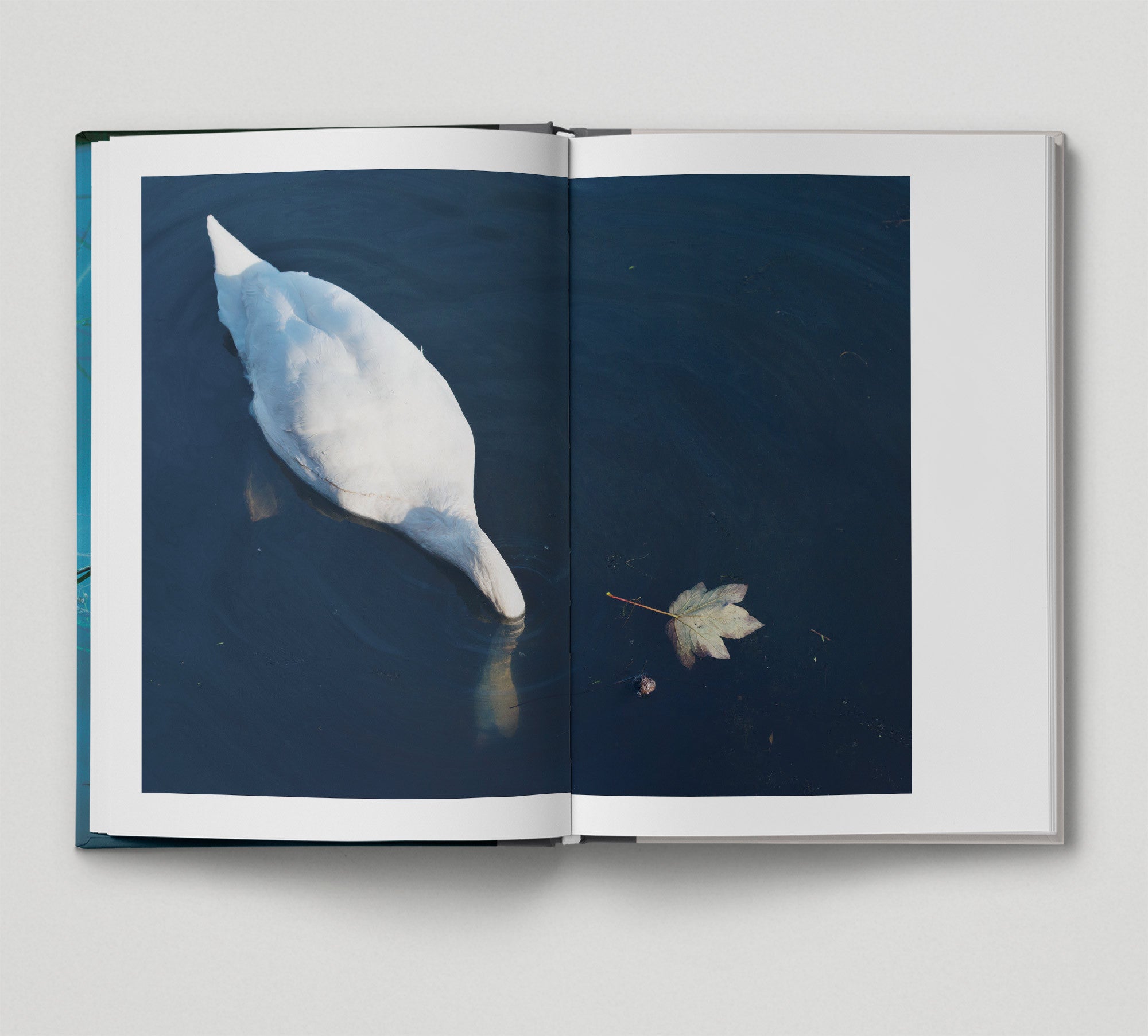 Collector's Edition Book + Print: Along the Hackney Canal - Illustrated Travel Guide & Art Book for London Enthusiasts | Perfect for Home Decor, Gift Giving & Travel Inspiration