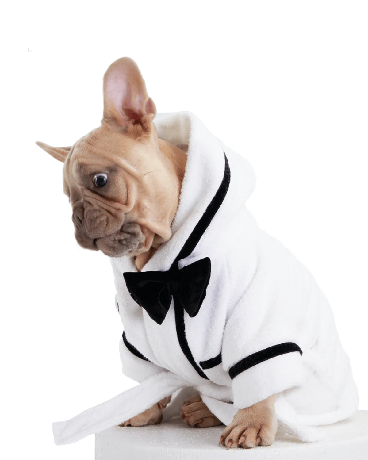 Premium Dog Bathrobe for Men - Soft & Absorbent Pet Robe for Grooming, Spa & Relaxation at Home - Perfect for Small & Medium Dogs After Bath or Pool Time