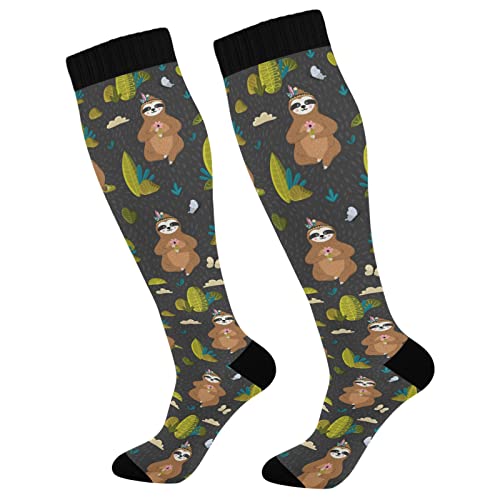 Funny Sloths in the Forest