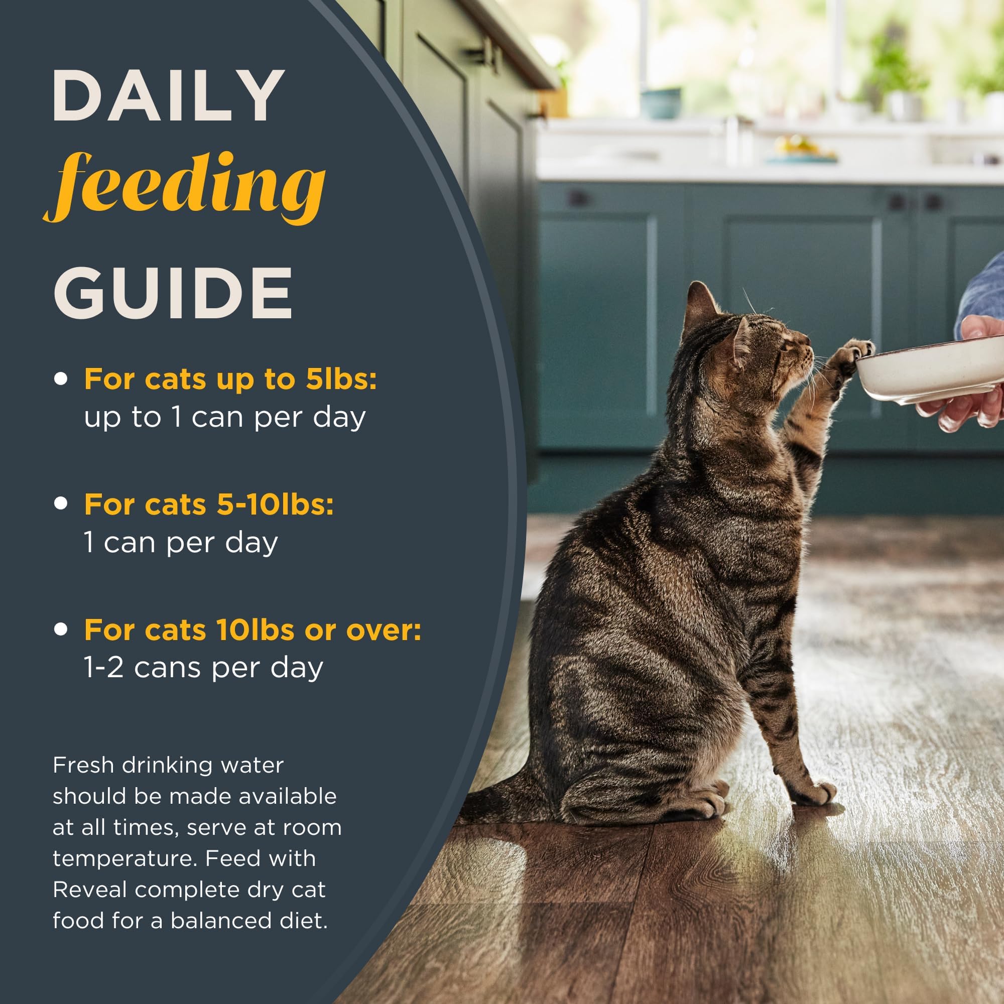 Reveal Grain Free Wet Cat Food - 24 Pack of 2.47oz Cans, Limited Ingredient Chicken Breast in Broth Recipe - Natural Canned Cat Food for Sensitive Stomachs - Perfect for Indoor Cats & Kittens with Digestive Issues