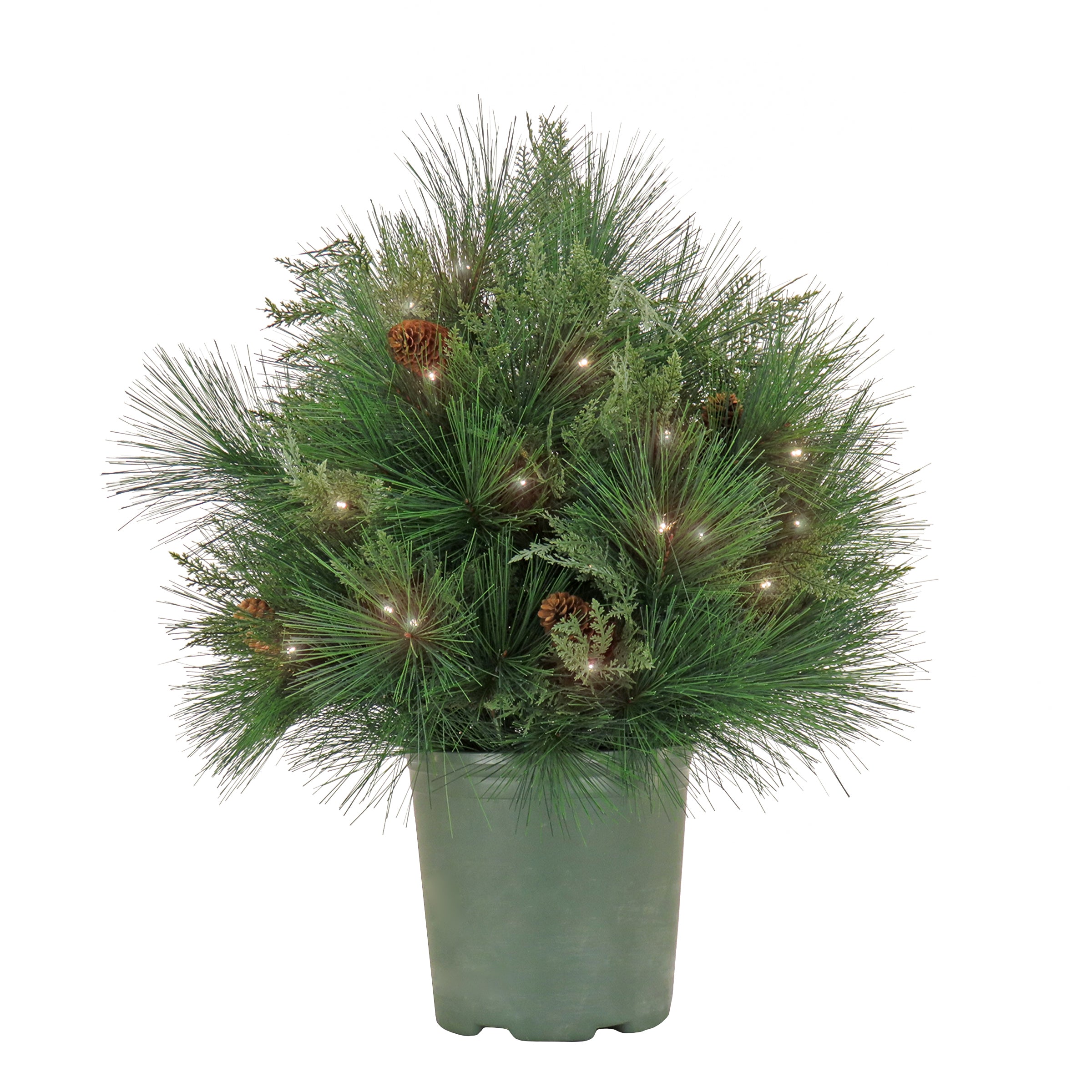 26 in. Pre-Lit HGTV Home Collection Black Tie Planter Filler - Artificial Christmas Tree for Indoor Holiday Decor, Living Room, Office & Party Decoration