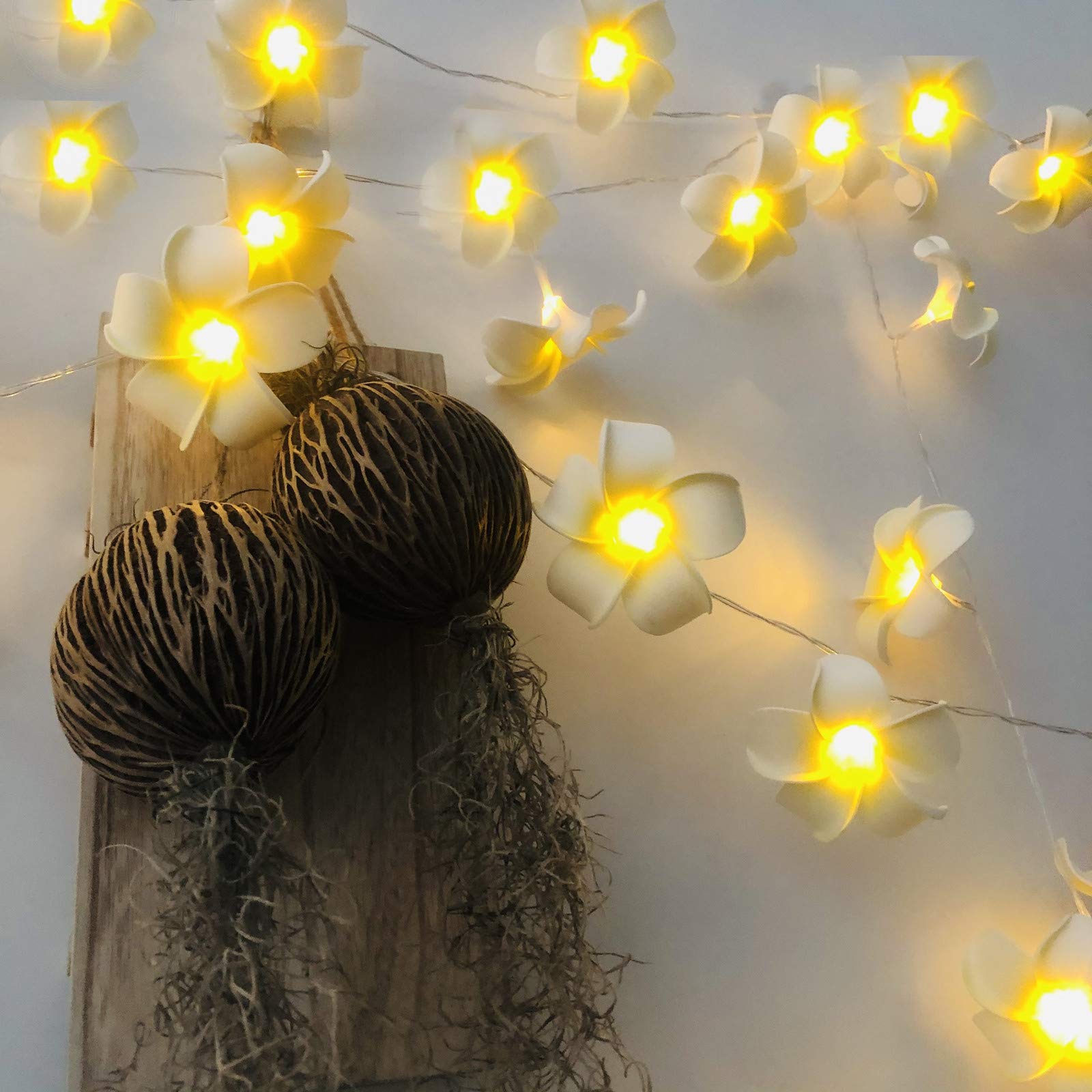 Battery Powered Artificial Plumeria String Lights - 20LED White Frangipani Flower Garland for Wedding, Beach Party, Garden & Patio Decor - Waterproof Fairy Lights for Outdoor & Indoor Use