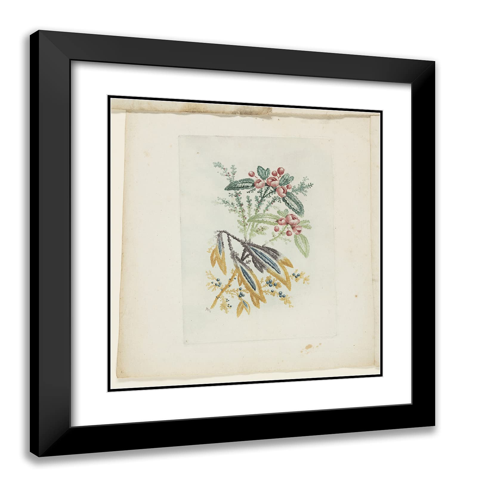 Anne Allen 20x21 Inch Black Modern Framed Art Print - Plate from Notebooks of Ideal Flowers for Artists, Draftsmen & Painters | Perfect for Home Decor, Office Wall Art & Gift Ideas
