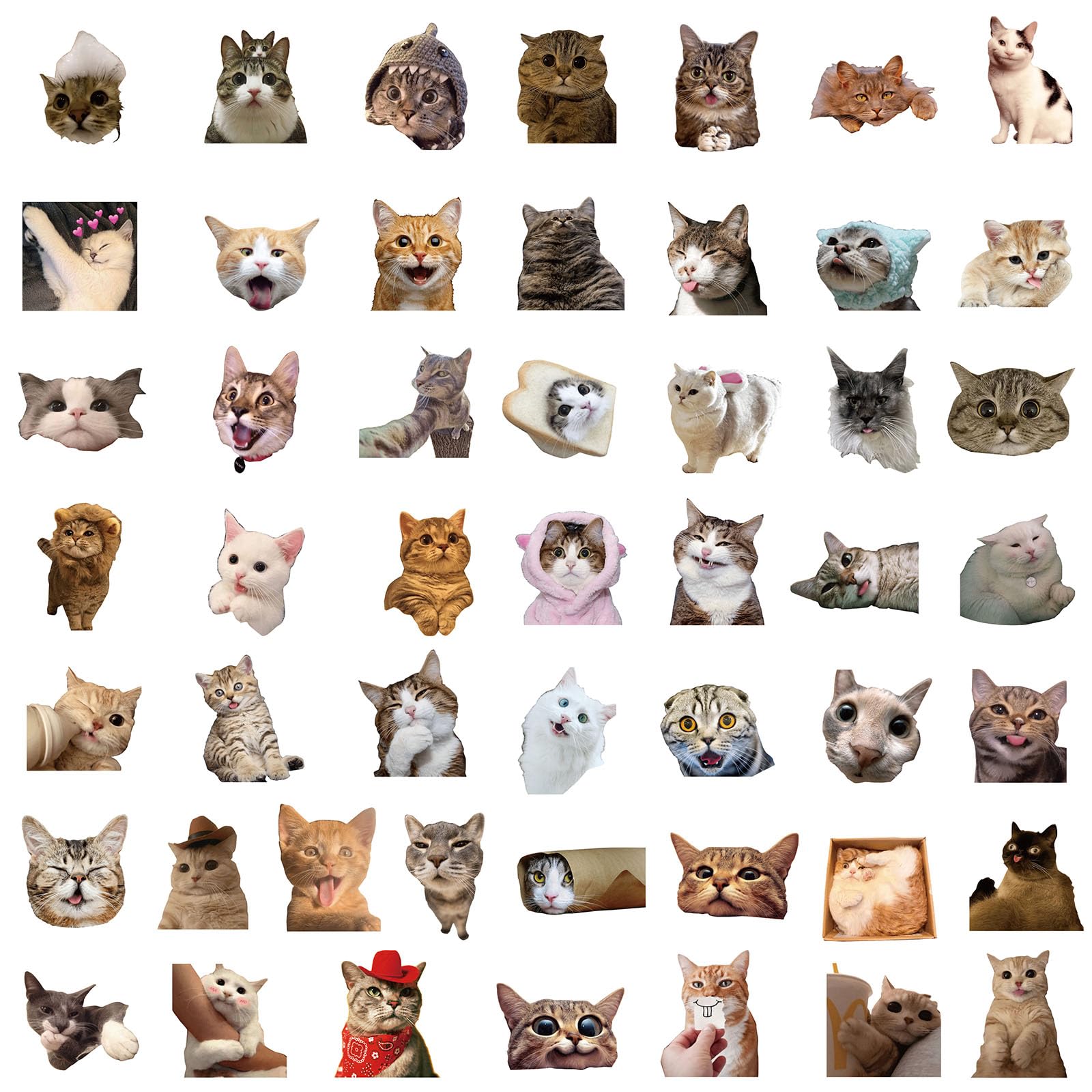 100 Pcs Funny Cat Stickers - Cute Cat Meme Vinyl Decals for Water Bottles, Laptops, Luggage, Skateboards & Bicycles | Waterproof Durable Stickers for Teens & Adults | Perfect for DIY Crafts, School Supplies & Gift Decorations