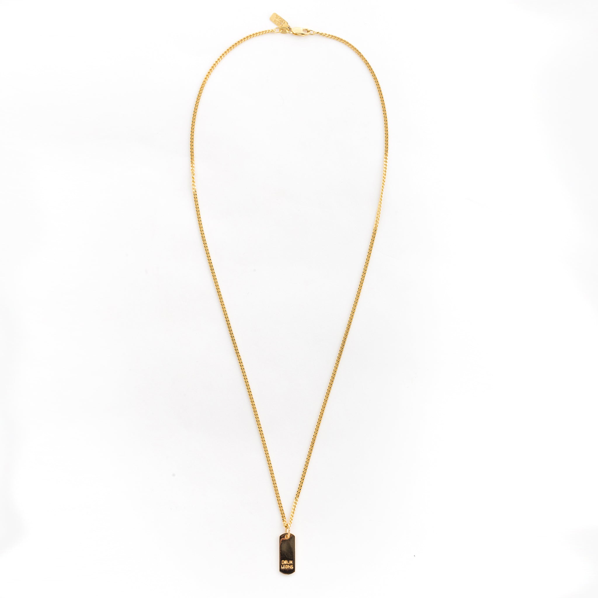 Gold Baby Lion Tag Necklace - Cute Animal Jewelry Gift for Kids & Toddlers - Perfect for Birthdays, Christenings, and Special Occasions