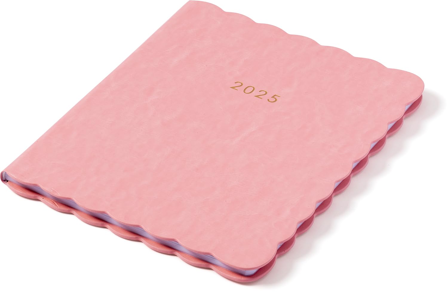 Eccolo 2025 Large Agenda Planner - 12 Month Weekly & Monthly Calendar with Habit & Gratitude Tracker - Hardcover 8x10