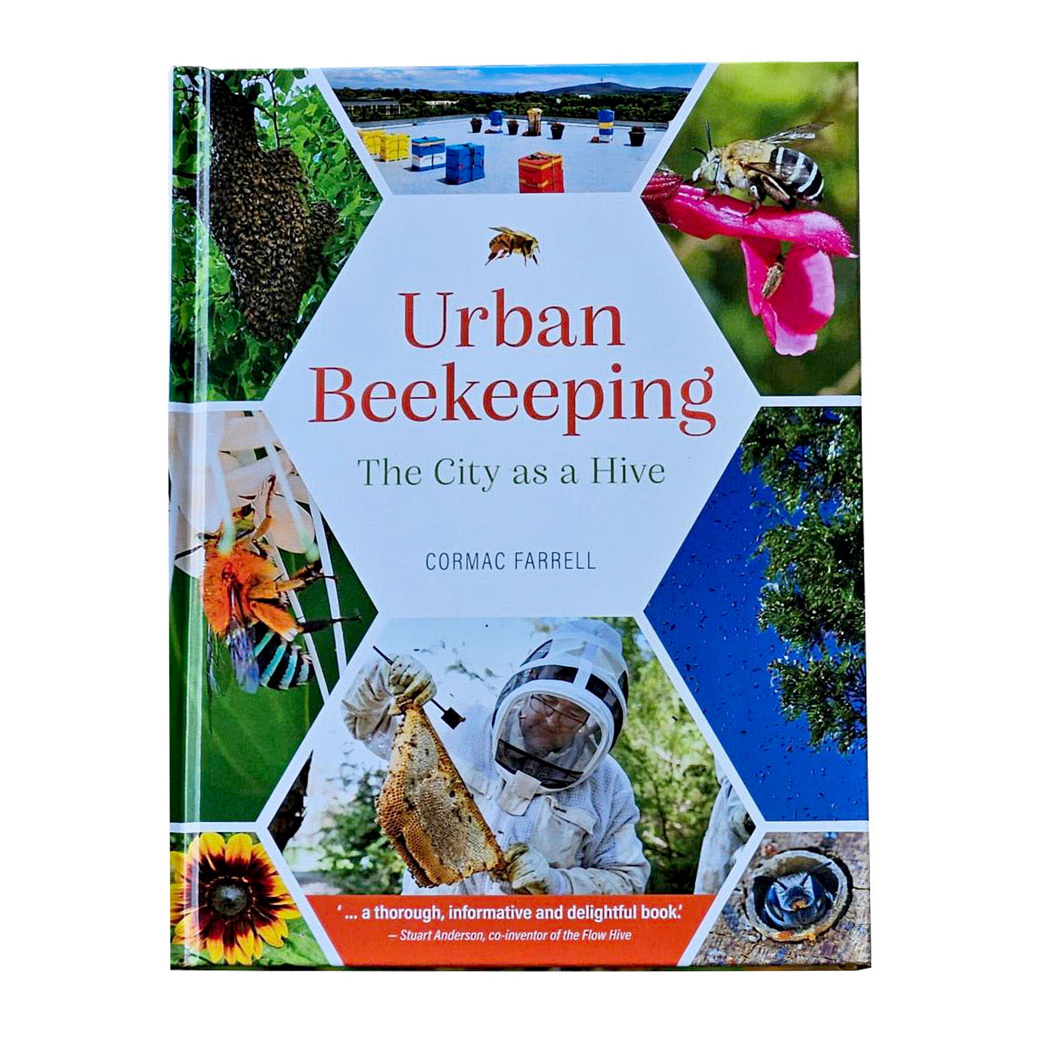 Urban Beekeeping Starter Kit - Complete Honey Bee Hive Supplies for Beginners | Beekeeping in Small Spaces & Backyards | DIY Home Honey Production & Pollinator Garden Support
