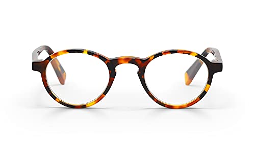 Tortoise Front and Temples