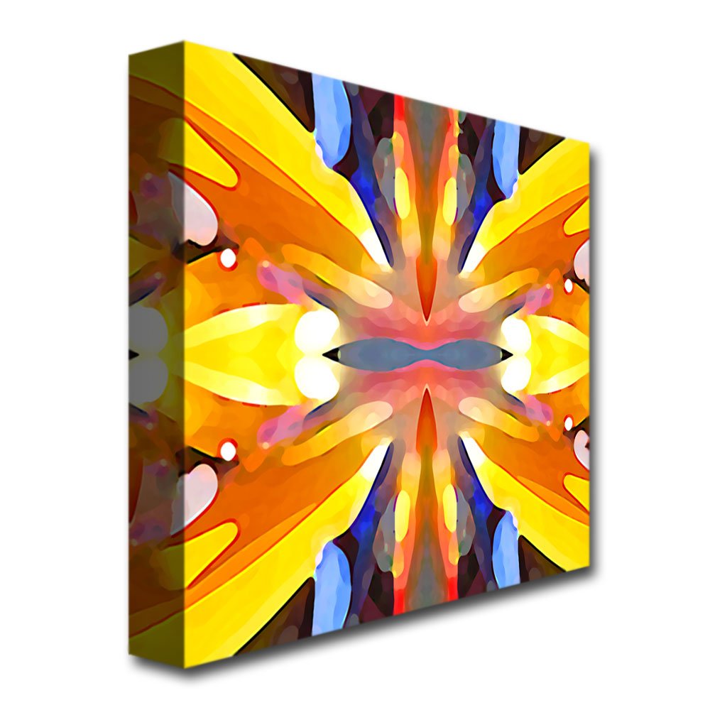 Trademark ART Amy Vangsgard Paradise 18x18 Inch Canvas Wall Art - Perfect for Living Room, Bedroom & Office Decor