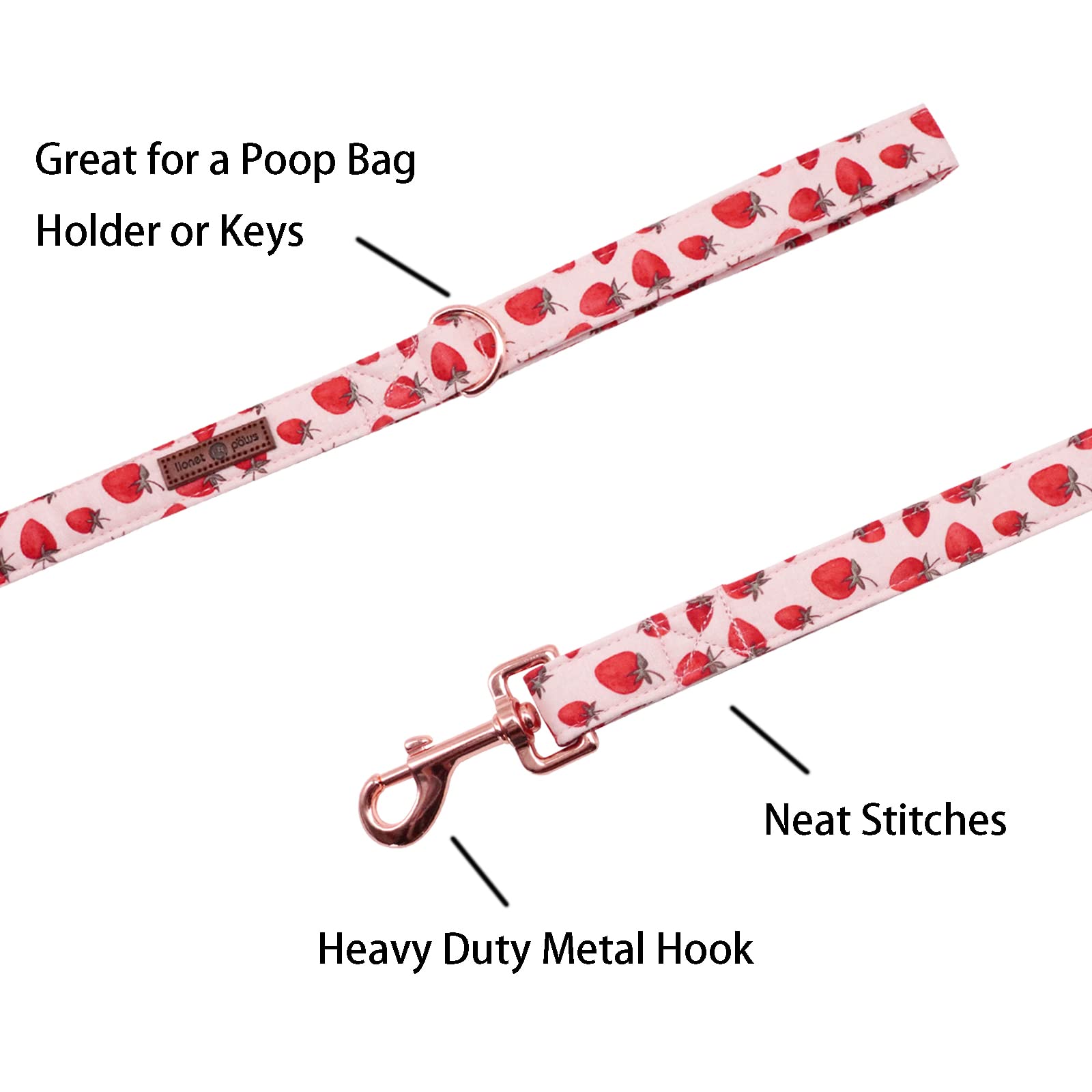 Lionet Paws Dog Leash and Matching Collar Set - Adjustable for Small, Medium & Large Dogs - Perfect for Walking, Training & Outdoor Adventures