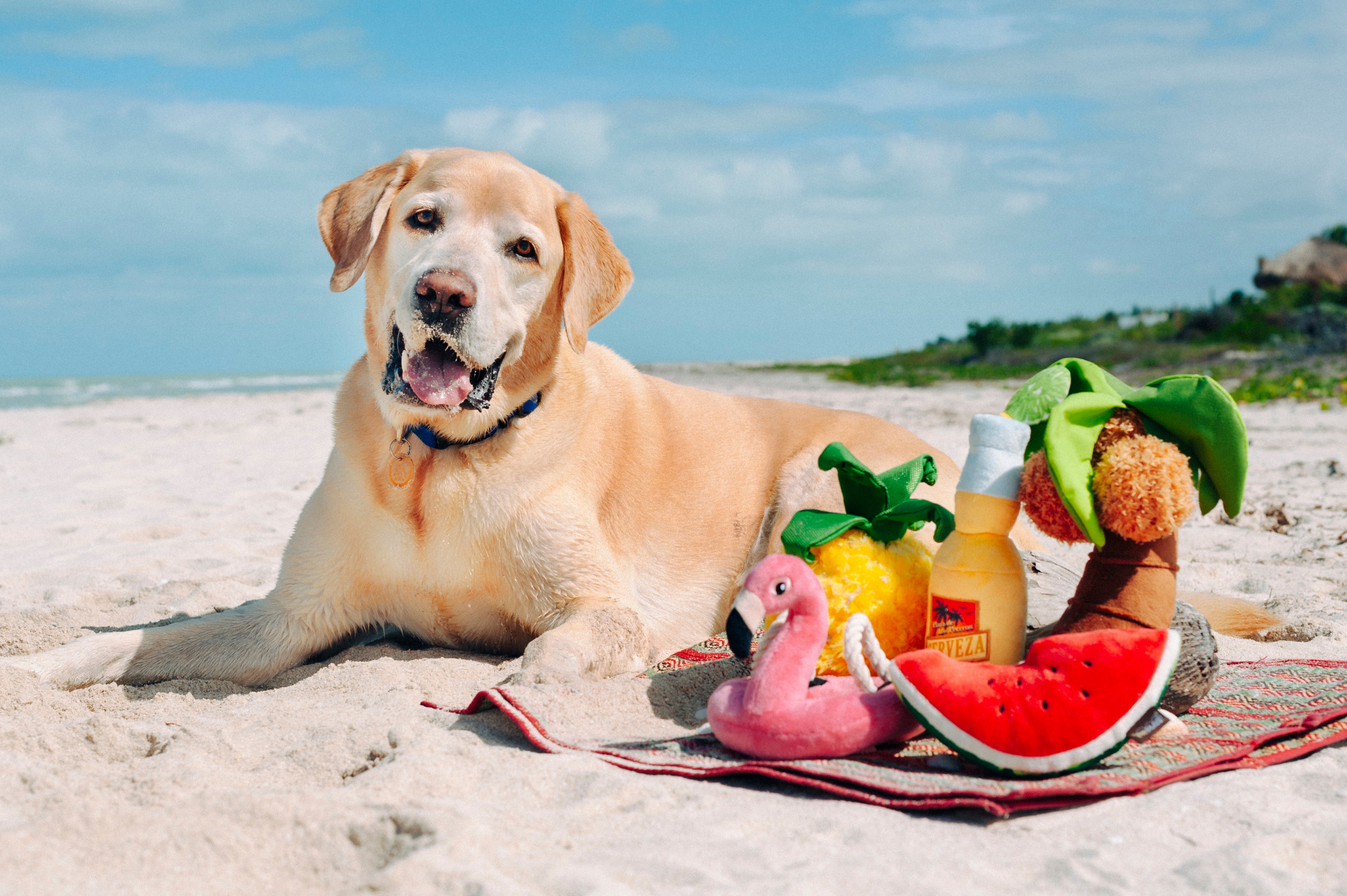 Tropical Paradise™ Watermelon Dog Plush Toy - Durable & Fun Chew Toy for Small & Large Dogs | Perfect for Playtime, Training & Cuddling | Pet P.L.A.Y.