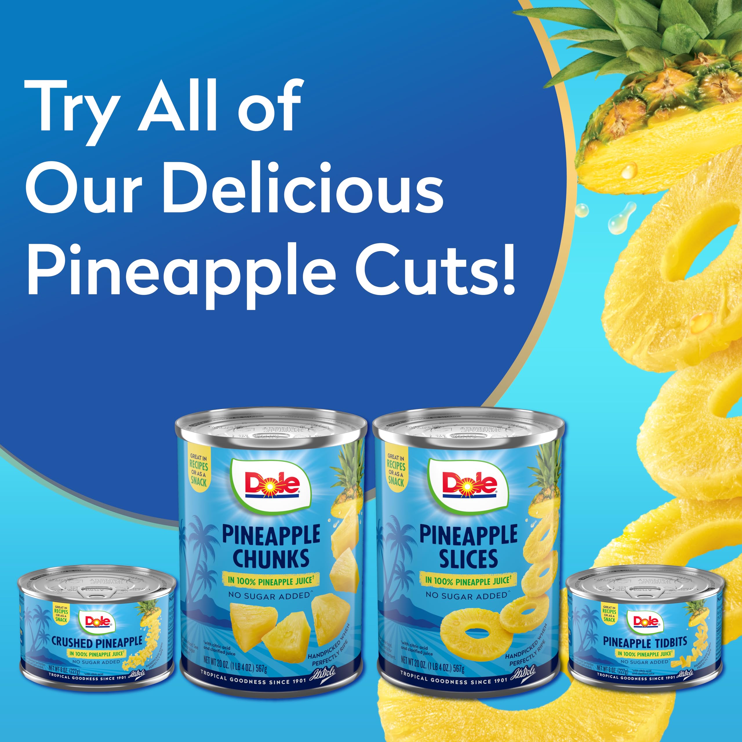 Dole Canned Pineapple Slices in 100% Pineapple Juice | Gluten Free, Non-GMO | 8 Oz Can | Perfect for Smoothies, Desserts & Snacks | Pantry Staple | Packaging May Vary