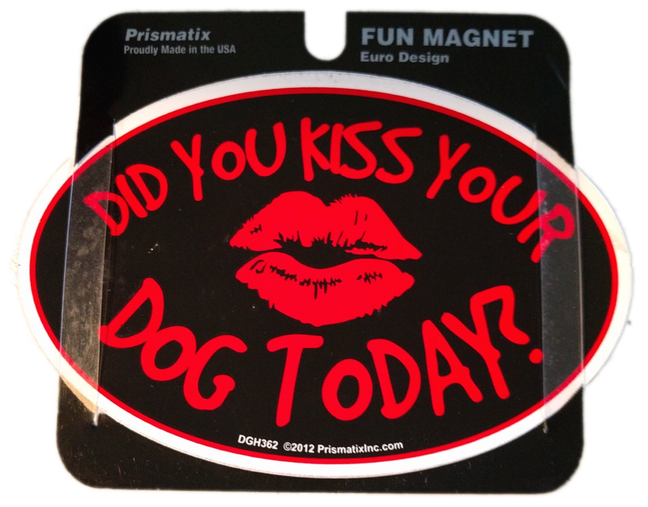 Did You Kiss Your Dog Today? - Funny Pet Owner T-Shirt for Dog Lovers - Perfect for Dog Parks, Walks & Pet Lovers Gifts