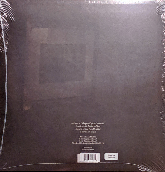Grizzly Bear - Yellow House (2xLP, Limited Edition, Reissue, Clear Vinyl) - Mint Condition - Perfect for Vinyl Collectors & Indie Music Lovers