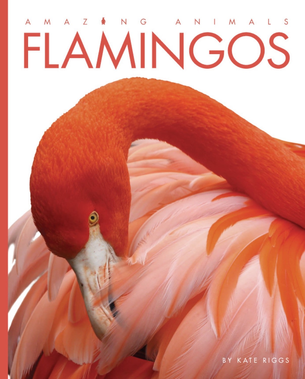 Amazing Animals (2014) - Flamingos Documentary | Wildlife Nature Film for Bird Lovers & Educational Use in Classrooms