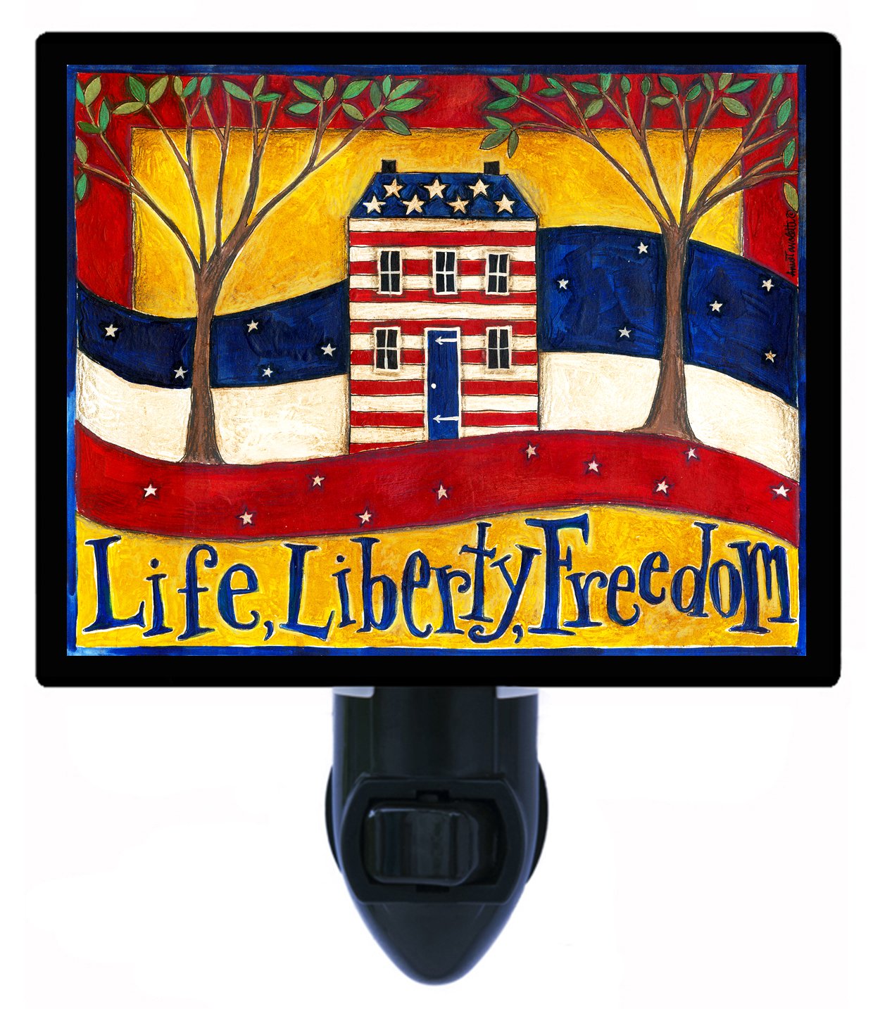 Patriotic LED Night Light - Life Liberty Freedom Theme | USA Flag Inspired Bedroom Decor | Perfect for Kids Room, Nursery & Home Office