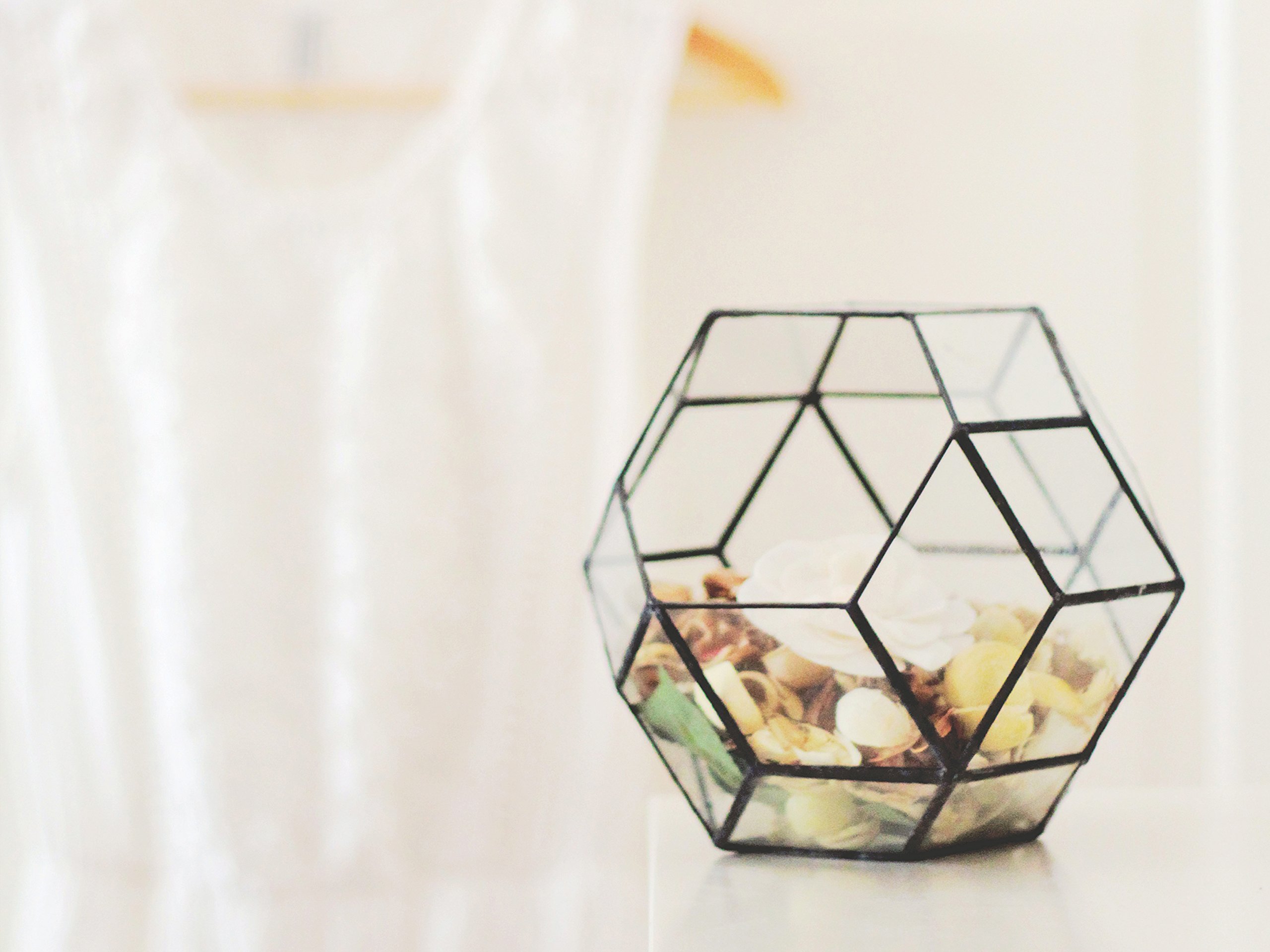 Geometric Glass Terrarium Container - Medium Size for Succulents & Air Plants (Copper, Silver, Black) | Home Decor, Office Desk Display, Wedding Centerpiece