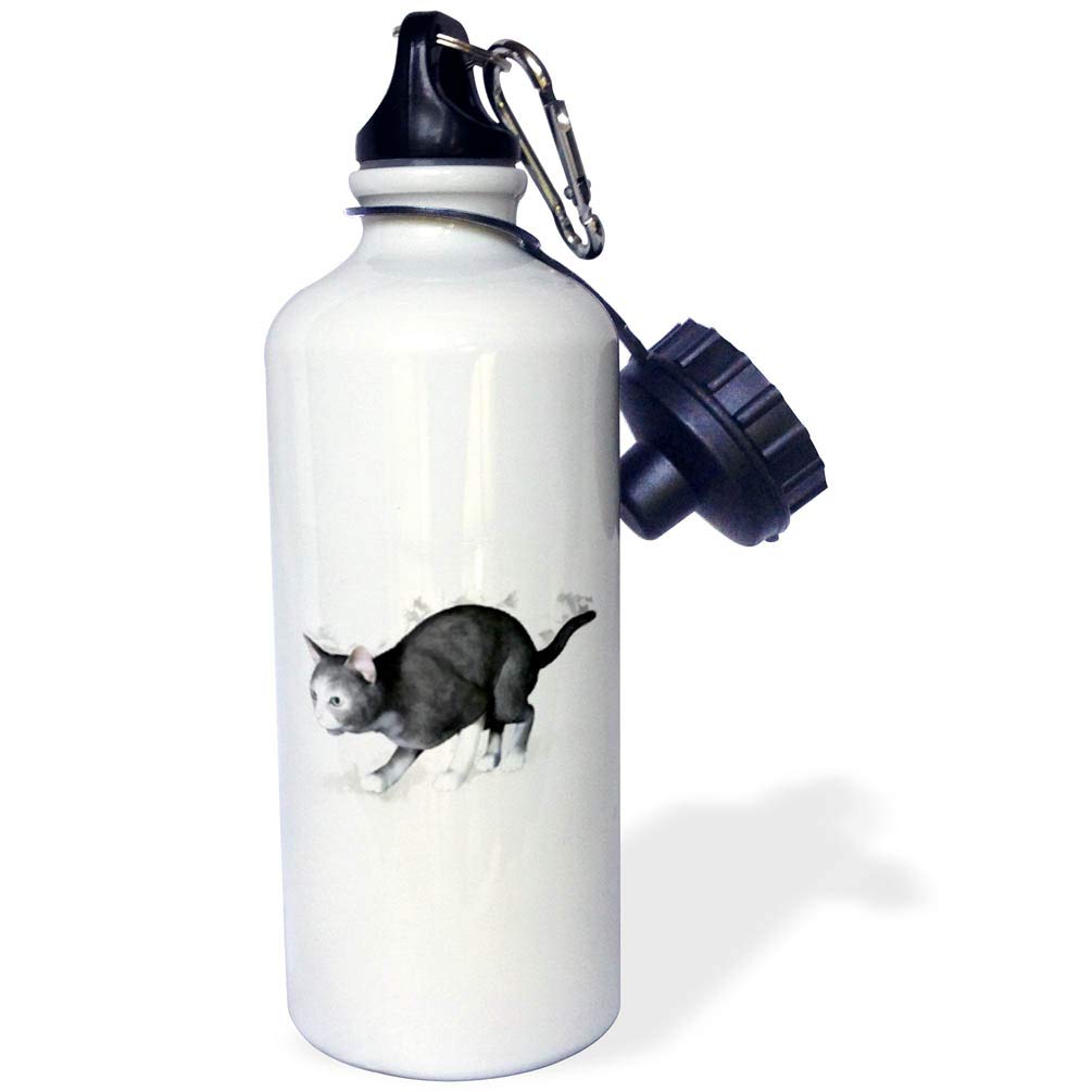 3D Rose Grey White Cat Sports Water Bottle - 21 oz Insulated Stainless Steel Water Bottle for Gym, Hiking & Outdoor Activities - BPA Free, Leak Proof, White